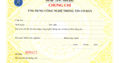 Tại sao cần thiết phải có chứng chỉ ứng dụng CNTT cơ bản?